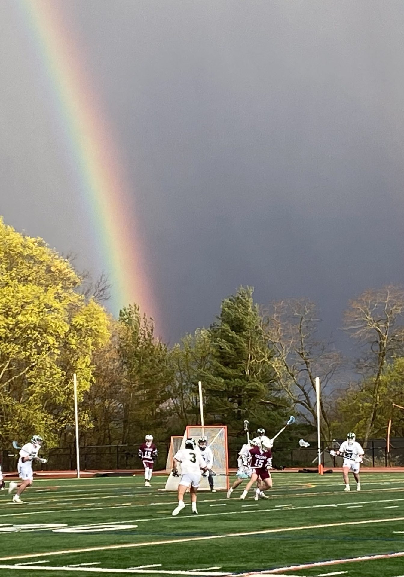 rainbow over field